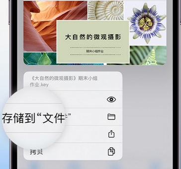 仁寿apple维修中心分享iPhone文件应用中存储和找到下载文件