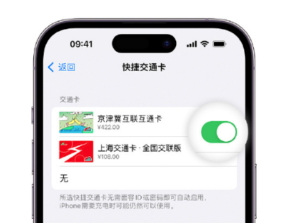 仁寿apple维修点分享iPhone上更换Apple Pay快捷交通卡手绘卡面 