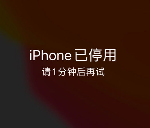 仁寿苹果手机维修分享:iPhone 显示“不可用”或“已停用”怎么办？还能保留数据吗？ 