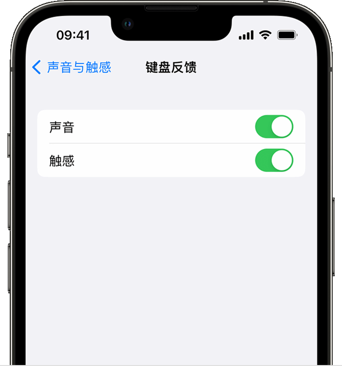 仁寿苹果14维修店分享如何在 iPhone 14 机型中使用触感键盘 