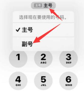 仁寿苹果14维修店分享iPhone 14 Pro Max使用副卡打电话的方法 