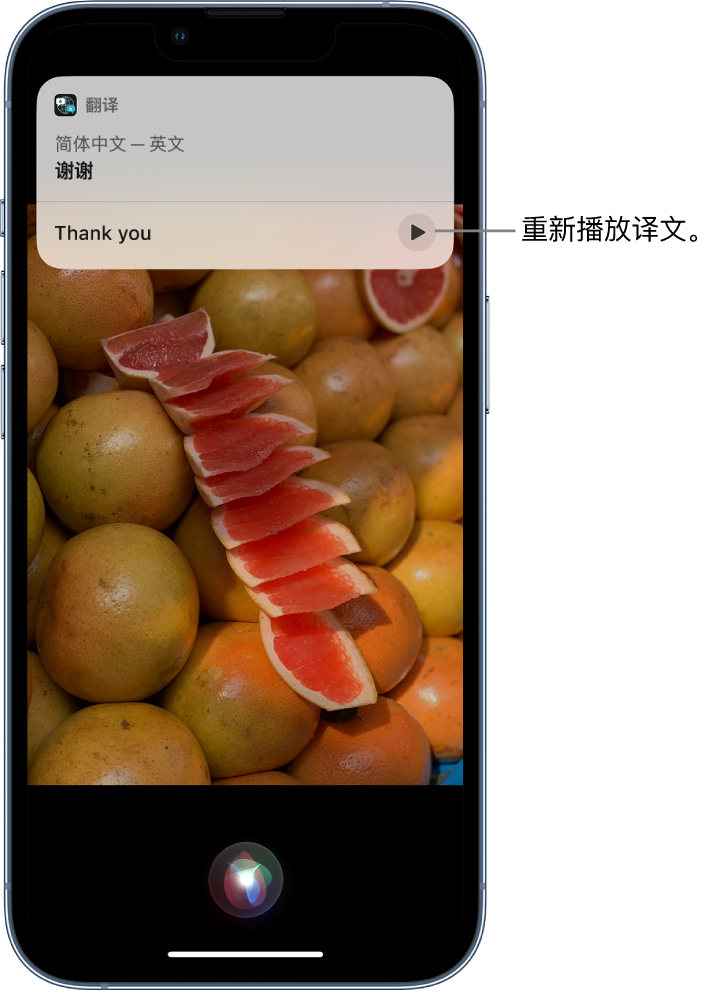 仁寿苹果14维修分享 iPhone 14 机型中使用 Siri：了解 Siri 能帮你做什么 