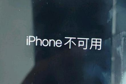 仁寿苹果服务网点分享锁屏界面显示“iPhone 不可用”如何解决 